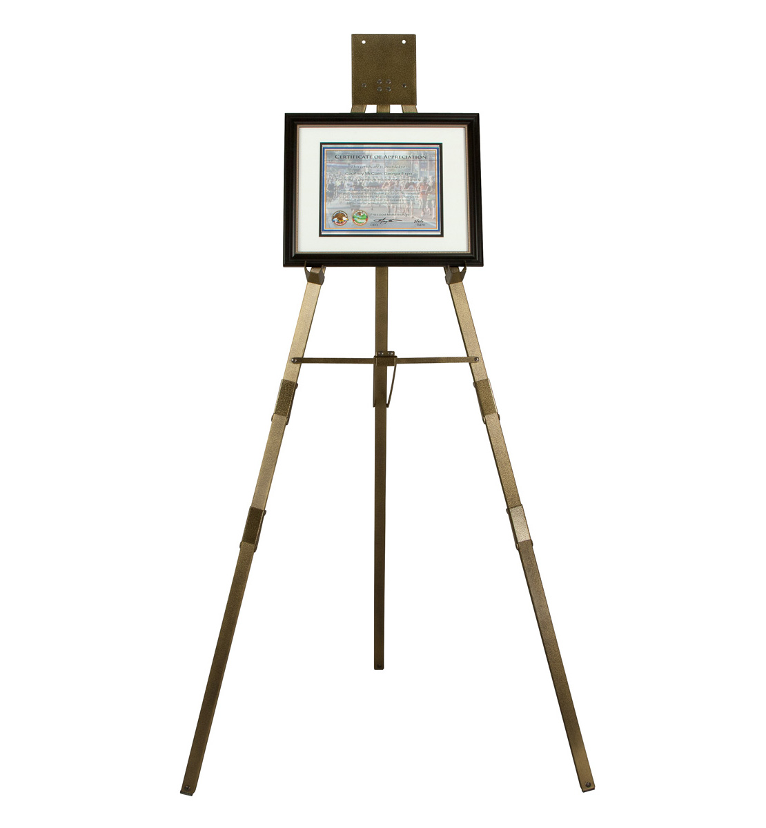 Wholesale picture easel stand With Recreational Features 