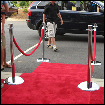 velour stanchions