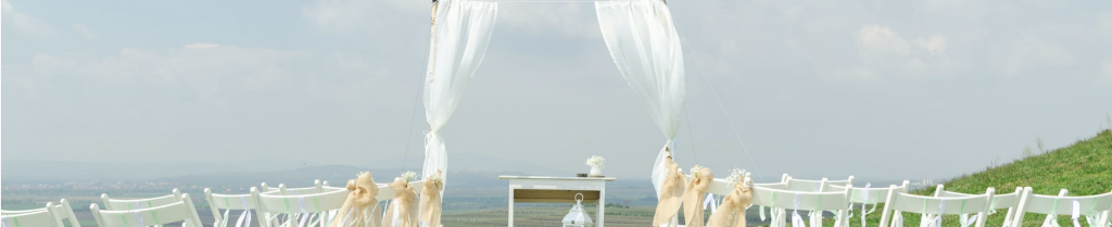 beach wedding with sheer canopy