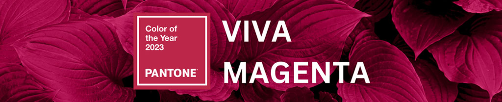 viva magenta blog banner